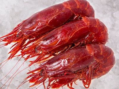 Carabineros