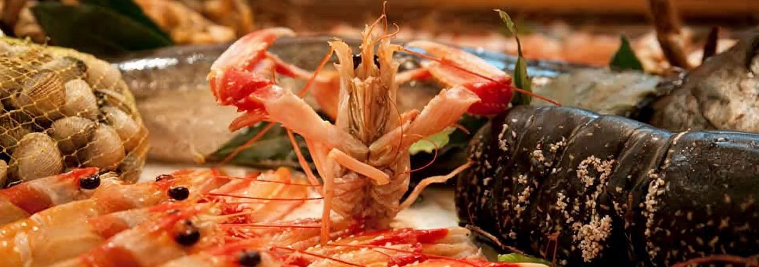 Flor de Galicia · Dónde comer buen pescado en Madrid centro (Barrio de Salamanca)