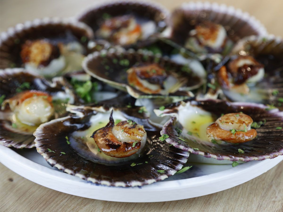 Flor de Galicia - Comer zamburiñas Madrid