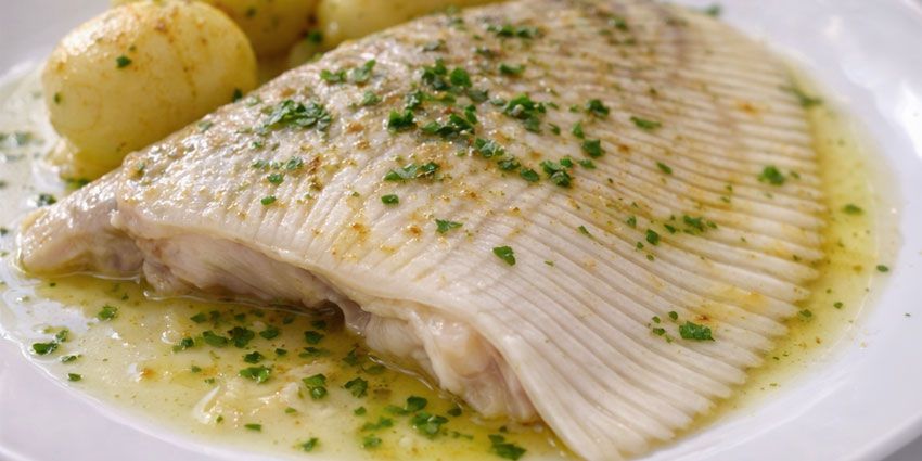 Ala de raya, la parte comestible más apreciada del pescado