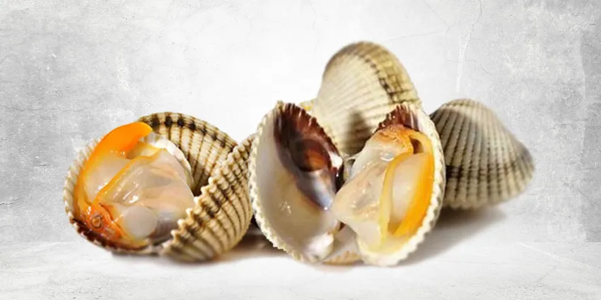 Descubre los Berberechos Gallegos: Un Manjar Natural que Puedes Disfrutar en Madrid
