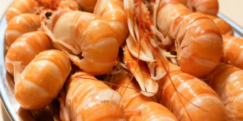 Cigalas en el Barrio de Salamanca