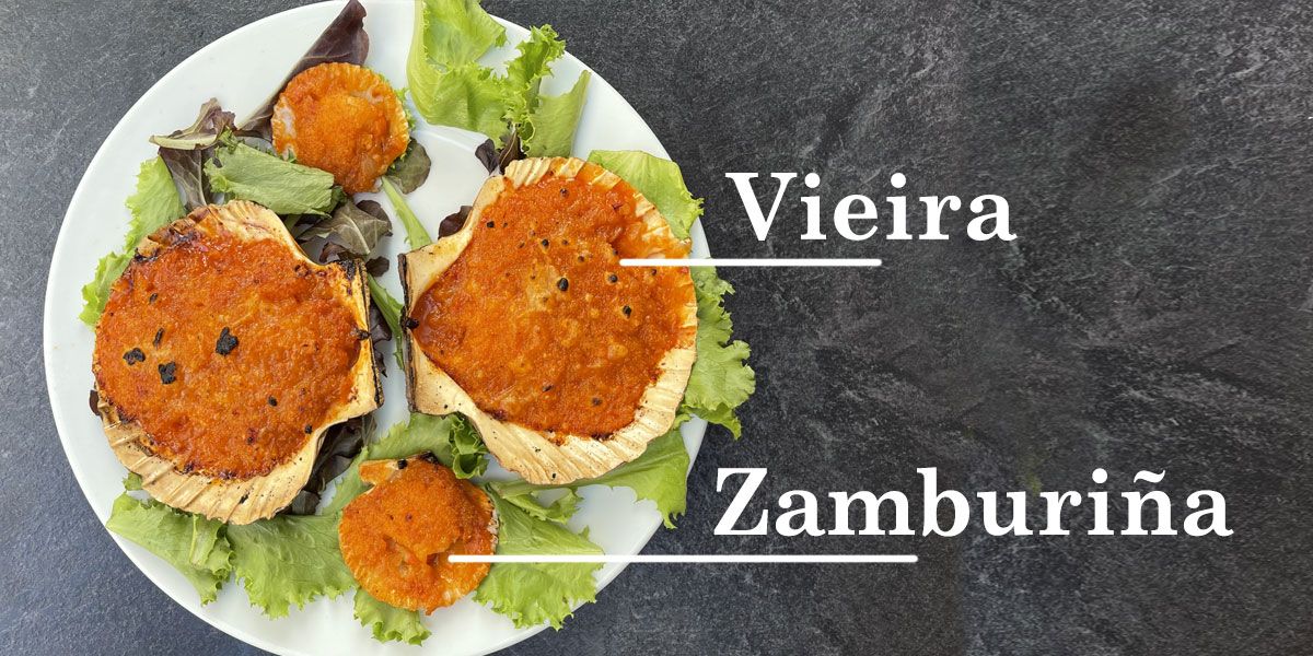 Diferencia entre zamburiñas y vieras