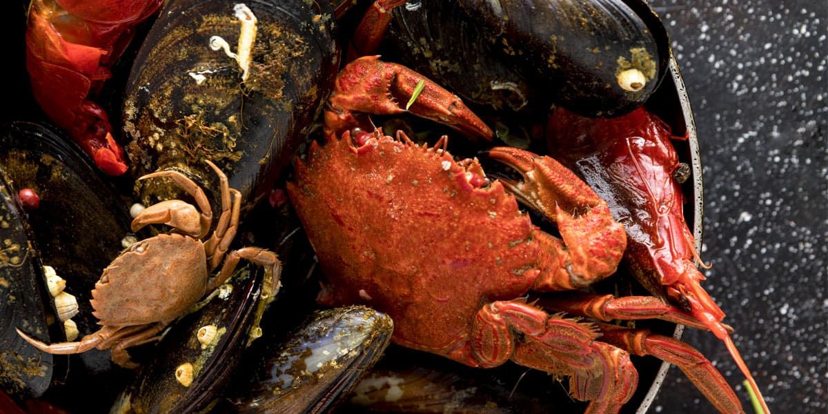 ¿Por qué Galicia tiene el mejor marisco del mundo?
