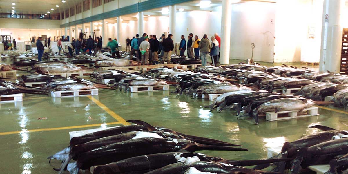 Lonjas de pescado de Galicia