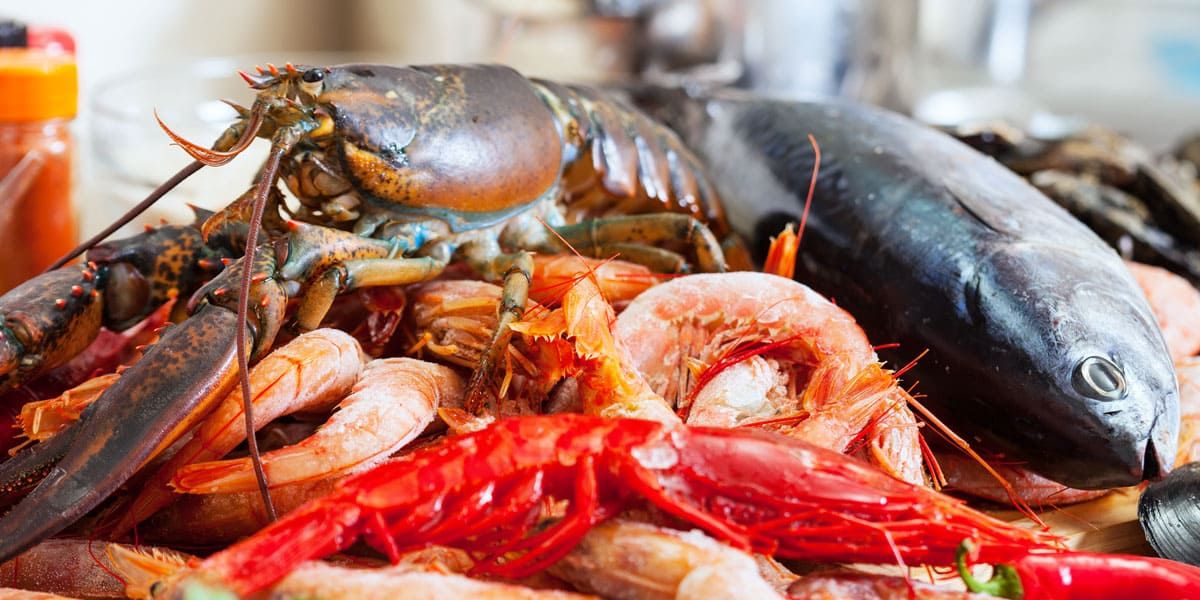 Tipo de mariscos de Galicia