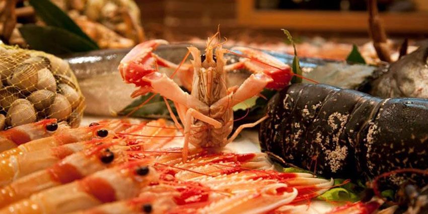 Mejor Restaurante Pulpo Madrid