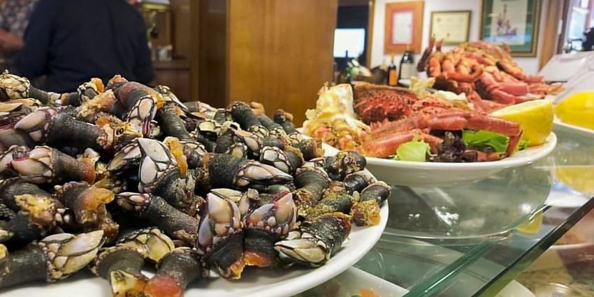 Plato de percebes cocidos en un expositor, con otra fuente de marisco cocido detrás