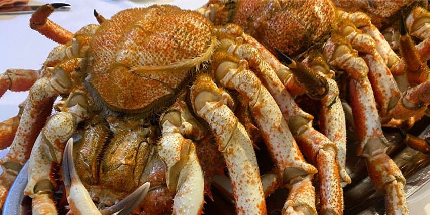 Centollos cocidos amontonados en una bandeja, con las patas anaranjadas