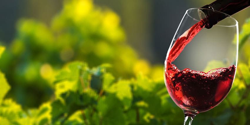 Vino tinto sirviéndose en una copa con hojas de viña al fondo