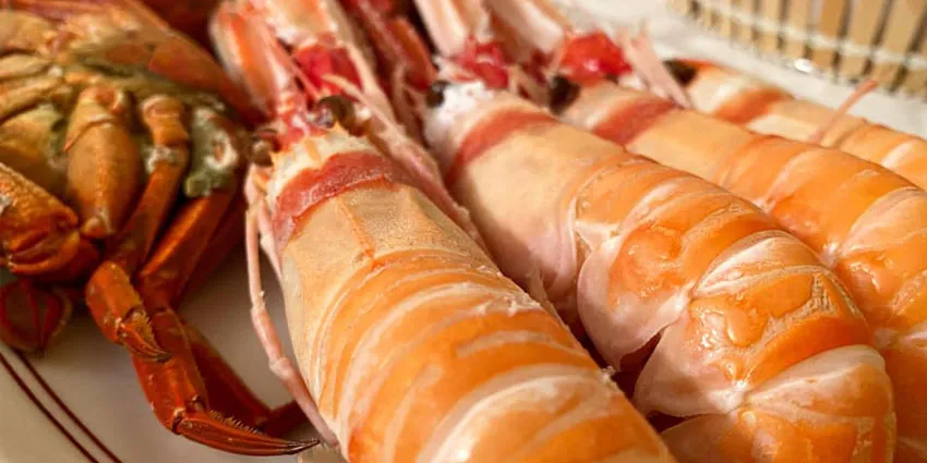 Cigalas de tronco a la plancha o cocidas en Madrid centro