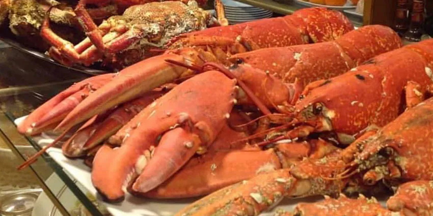 Bogavante gallego fresco en Madrid centro