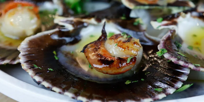 Zamburiñas a la plancha en Madrid centro
