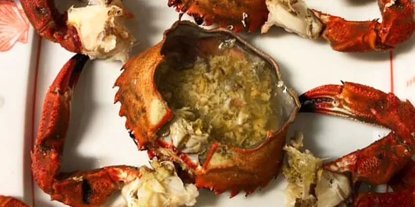 Nécoras gallegas frescas en Madrid (Barrio de Salamanca)