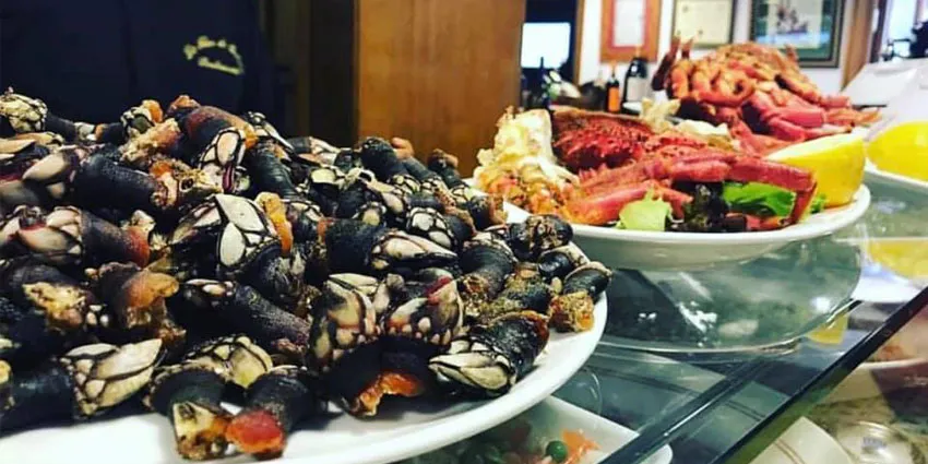 Percebes gallegos frescos en Madrid centro